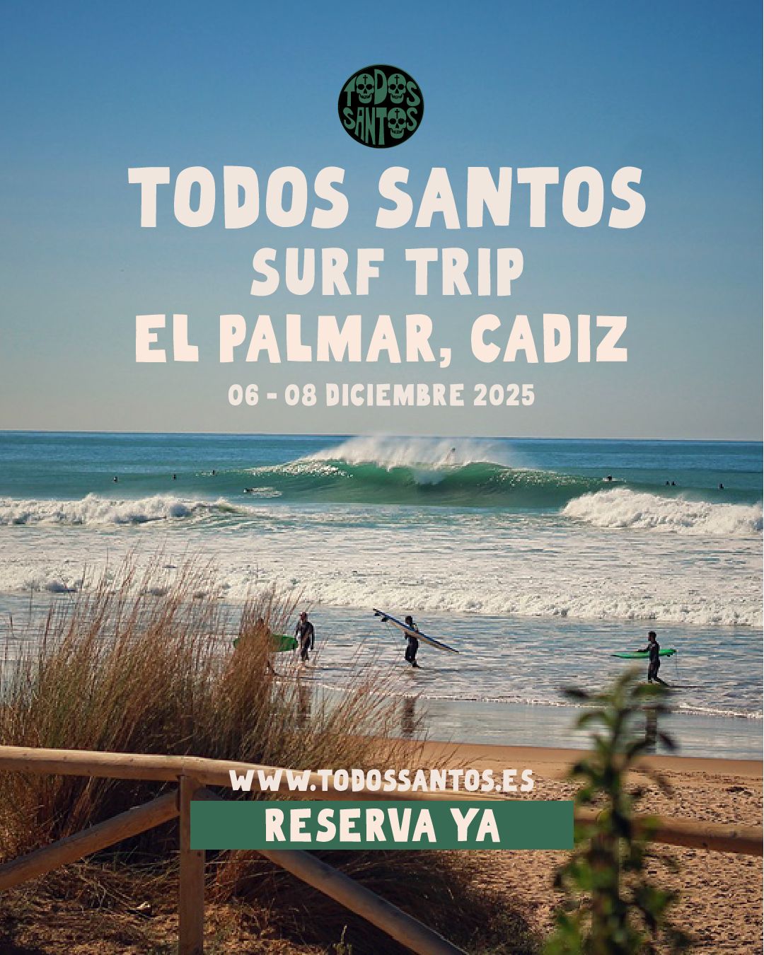 web el palmar